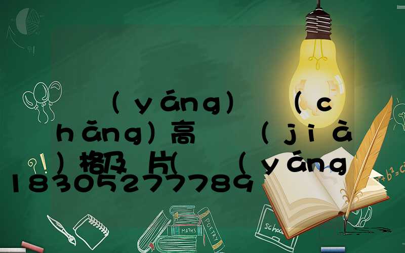 滎陽(yáng)廣場(chǎng)高桿燈價(jià)格及圖片(滎陽(yáng)附近哪里有燈展)