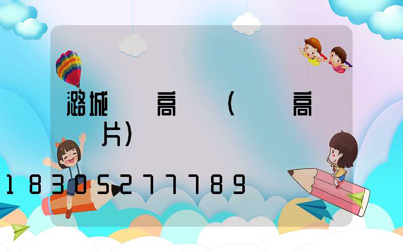 潞城雙頭高桿燈(雙頭高桿燈圖片)