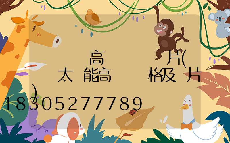 煙臺廣場高桿燈報價圖片(廣場太陽能高桿燈價格及圖片)