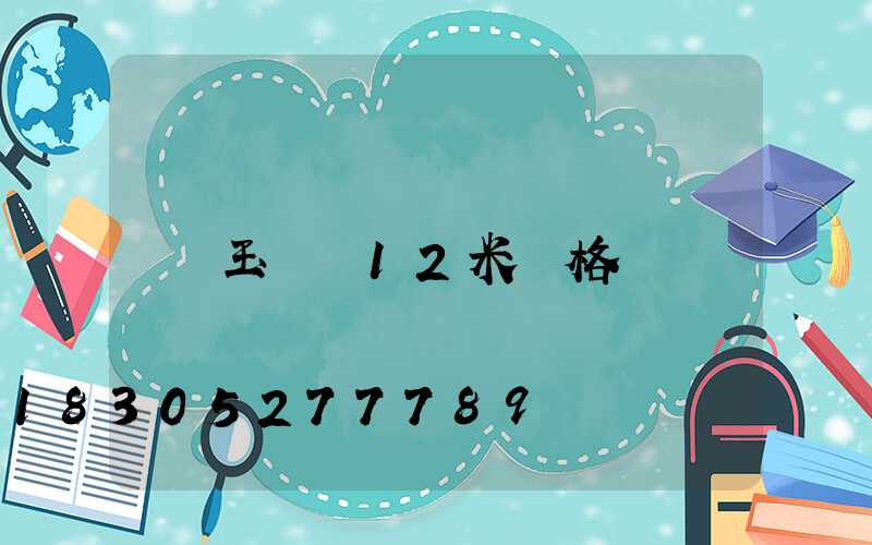 玉蘭燈12米價格