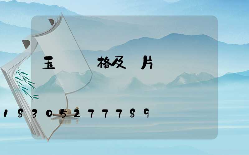 玉蘭燈價格及圖片