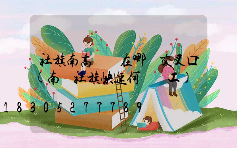 社旗南高桿燈在哪個交叉口(南陽社旗快速何時開工)