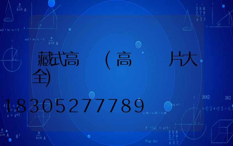 藏式高桿燈(高桿燈圖片大全)