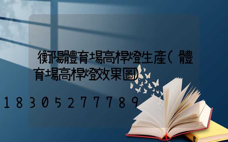 衡陽體育場高桿燈生產(體育場高桿燈效果圖)