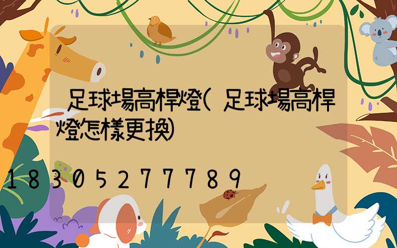 足球場高桿燈(足球場高桿燈怎樣更換)