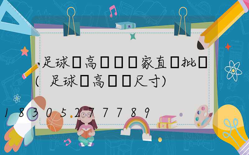 足球場高桿燈廠家直銷批發(足球場高桿燈尺寸)