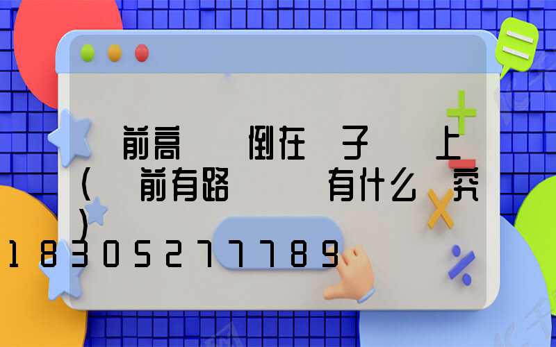 門前高桿燈倒在電子圍欄上(門前有路燈電桿有什么講究)