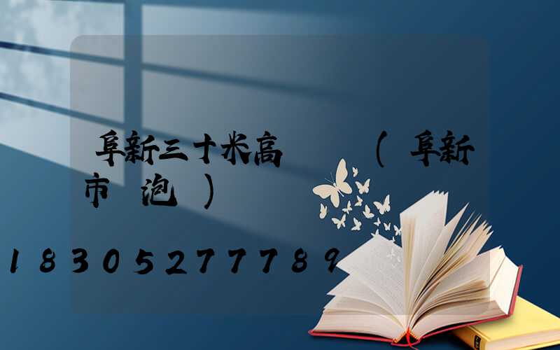 阜新三十米高桿燈廠(阜新市燈泡廠)