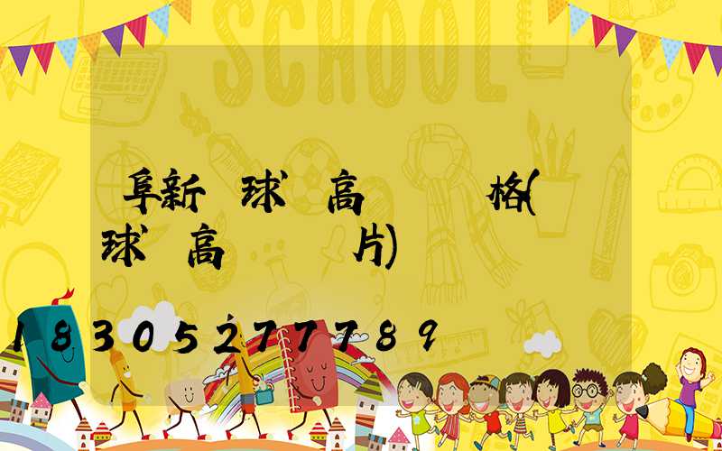 阜新籃球場高桿燈價格(籃球場高桿燈圖片)