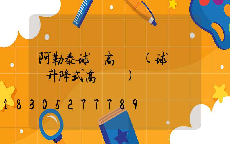 阿勒泰球場高桿燈(球場電動升降式高桿燈)