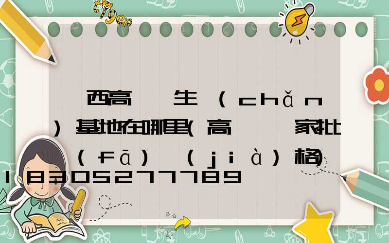 陜西高桿燈生產(chǎn)基地在哪里(高桿燈廠家批發(fā)價(jià)格)