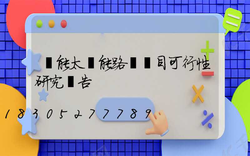 風能太陽能路燈項目可行性研究報告