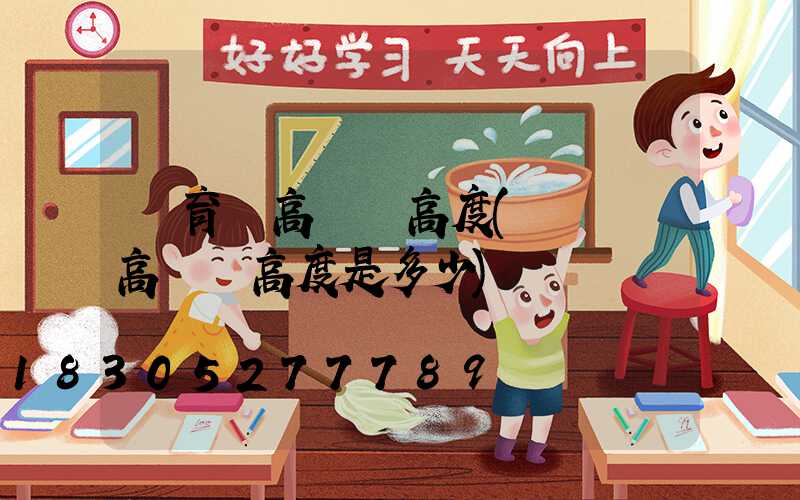 體育場高桿燈高度(運動場高桿燈高度是多少)